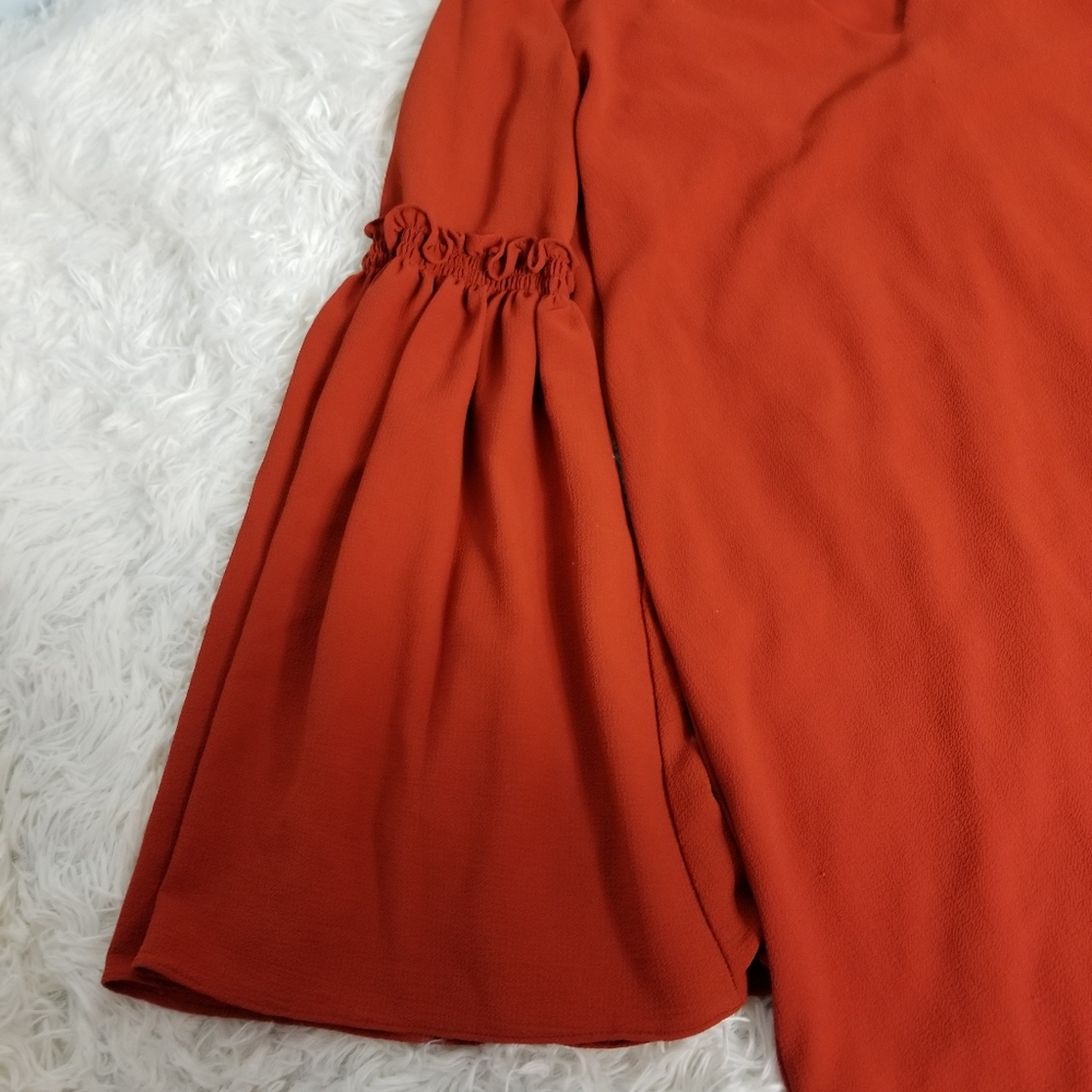 Zara Tragaluc Gorgeous Burnt Orange Dress, Size Xs.  A125 - Picture 4 of 4